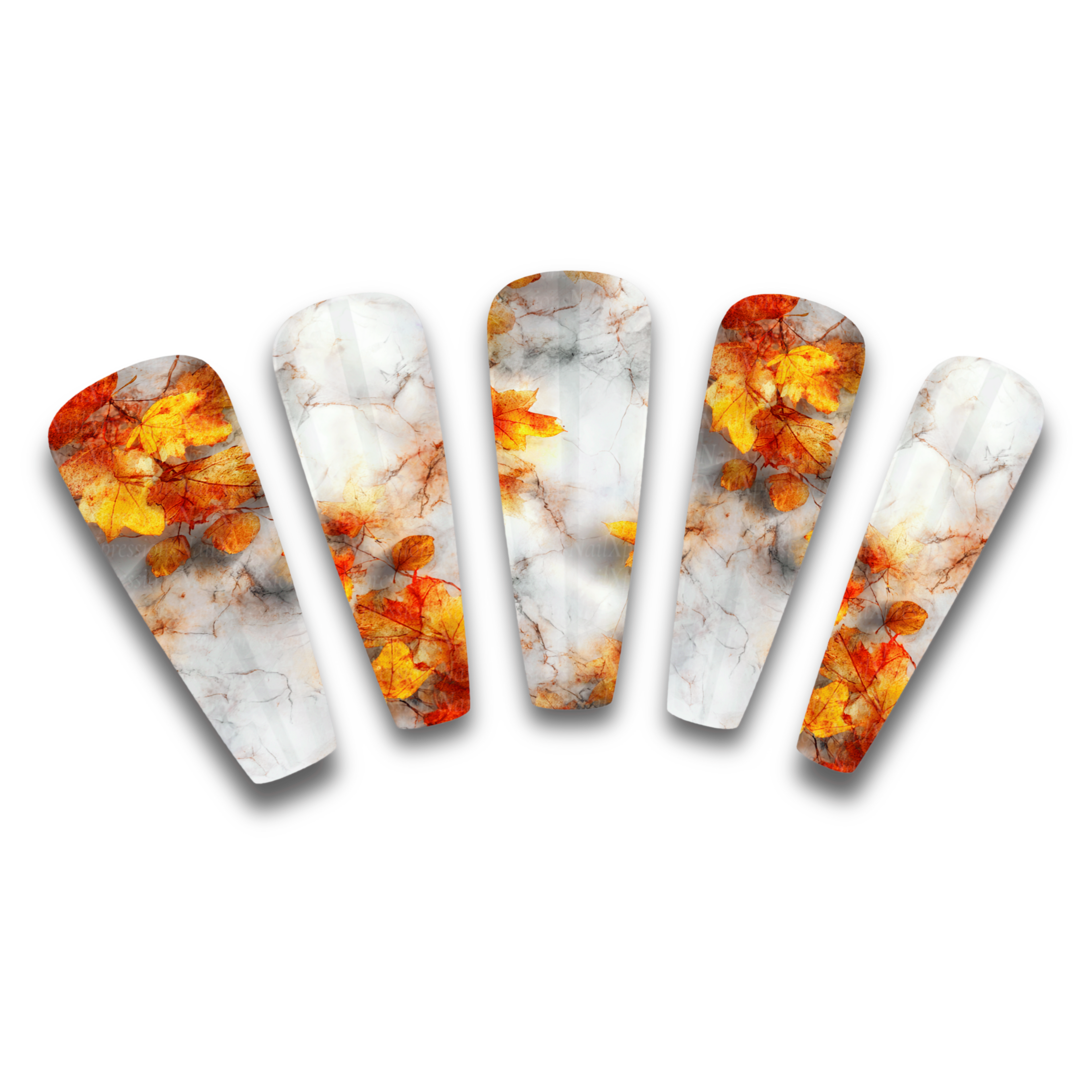 Fall Leaves Marbled Nail Decals