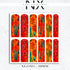 Country Cactus Nail Decals | Nail Art Water Transfer | Nail Wraps