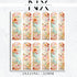 Butterflies and Flower Nail Decals | Nail Art Water Transfer | Nail Wraps