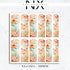 Butterflies and Flower Nail Decals | Nail Art Water Transfer | Nail Wraps