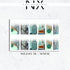 Ombré Money Bill Nail Decals | Nail Art Water Transfer | Nail Wraps