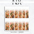 Ombré Safari Floral Nail Decals | Nail Art Water Transfer | Nail Wraps